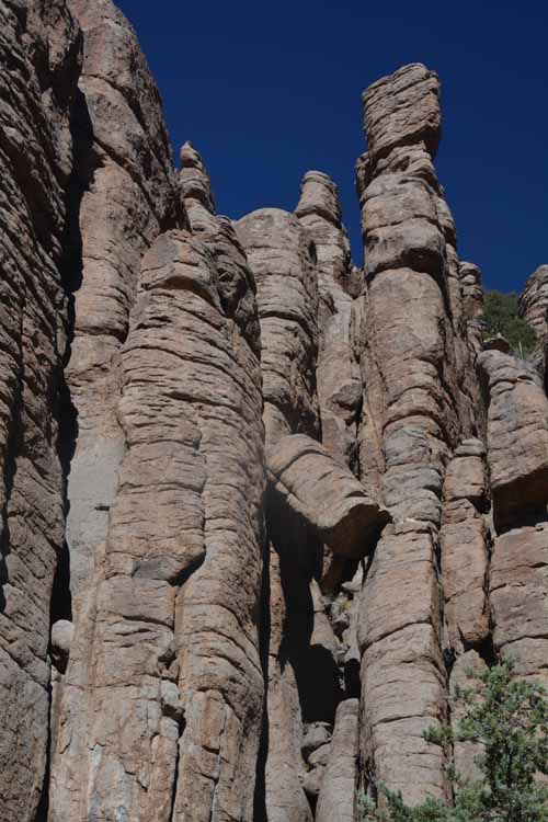 organ pipe formatons